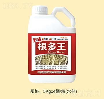 ������-�f(w��n)Ȫ�r(n��ng)��