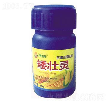 �����`-�r�̘�