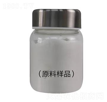 ����������̖-���o���r�I(y��)