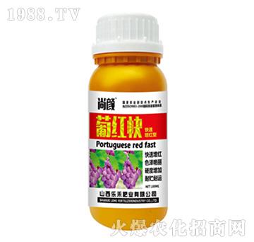 ����ϼt��-����