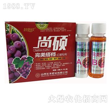 �t�����ь������-����