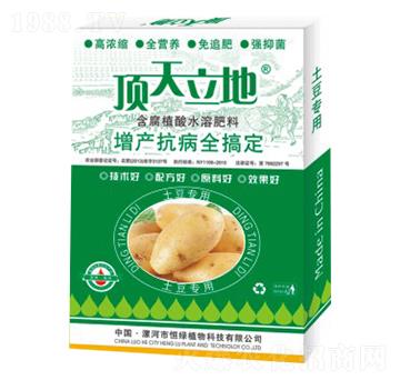 土豆專用含腐植酸水溶肥料-頂天立地-恒綠植物