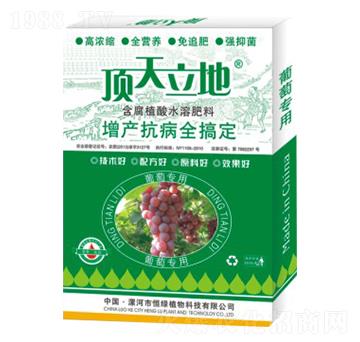 葡萄專(zhuān)用含腐植酸水溶肥料-頂天立地-恒綠植物