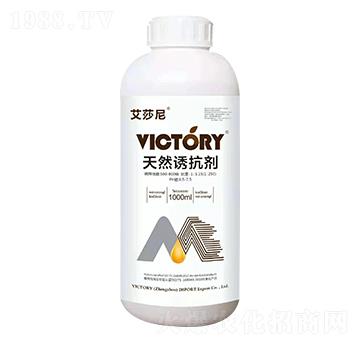 ��Ȼ�T����-��ɯ��-�S������