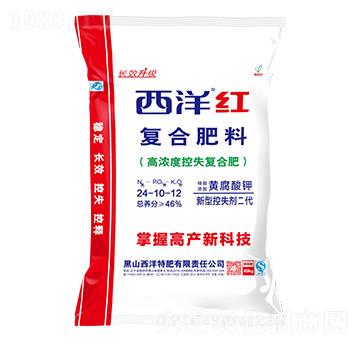 �ߝ�ȿ�ʧ�ͺϷ�24-10-12-����t-����ʘI(y��)