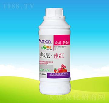 ���ᡤ�ټt-�n��ʘI(y��)