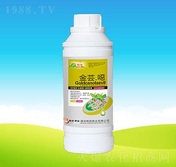 ���|�f-�n��ʘI(y��)