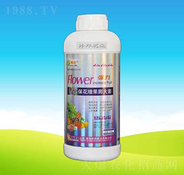 �������������-�n��ʘI(y��)