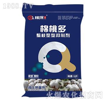 ��֦�������Ƅ�-���Ҷ�-�ڱ�����