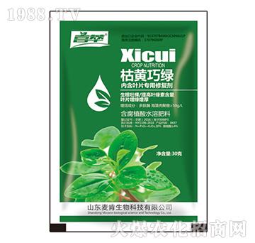 ���S�ɾG�~Ƭ�����ޏ̈́�-��������