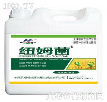 �~ķ��-��ķ˹��