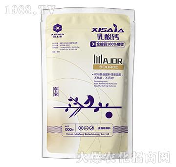 �����}-ϲ�ϼ�