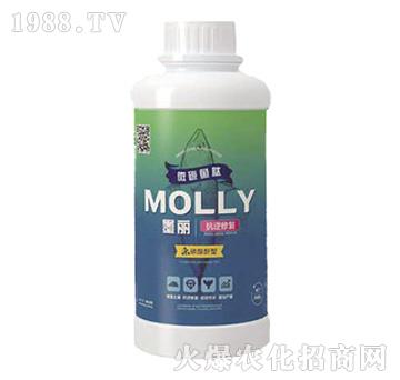 ī�������ޏ�(f��)-����