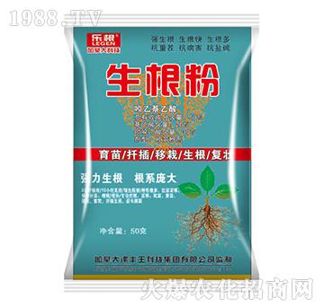 ������-��(l��)��-���S��