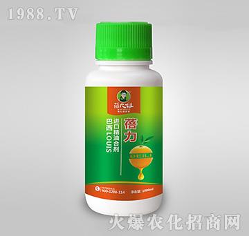 巴西進口精油合劑-蓓力-蓓大姐-備翔生物