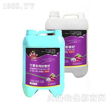 ���팣(zhu��n)�������ʣ�500g��-�����-���A����(l��)