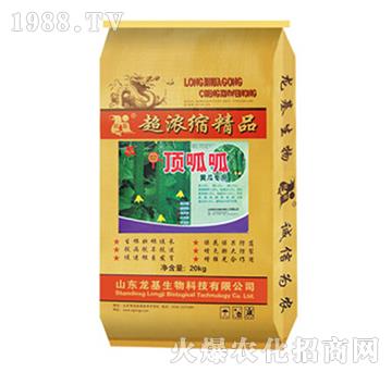 黃瓜專用水溶肥-龍基生物