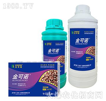 �͌�����-����Z