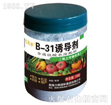 B-31誘導(dǎo)劑-億夭豐-力格國際