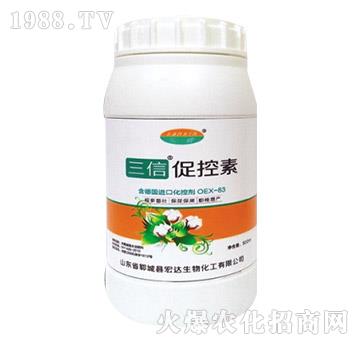 ���Ŵٿ���-���_(d��)����