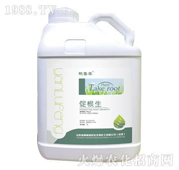 �ٸ���-�G���S-���_��