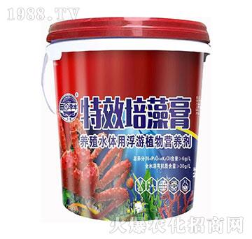 �����-��@���S-���S�ʘI(y��)