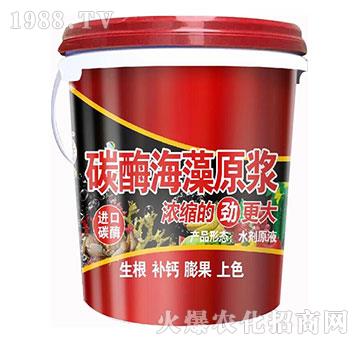 ̼ø����ԭ�{-��@���S-���S�ʘI(y��)