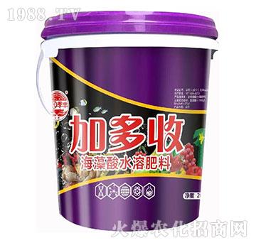 �Ӷ���-��@���S-���S�ʘI(y��)