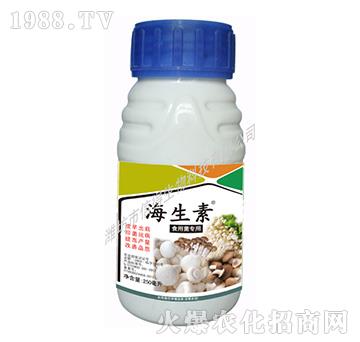 ʳ�þ���(zhu��n)��-������-�ŵ�