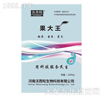 ������-�ֶ���