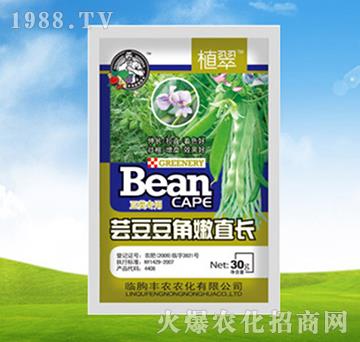 蕓豆豆角嫩直長-植翠-豐農(nóng)農(nóng)化