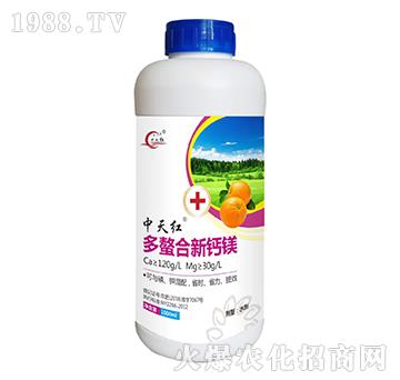 ���������}�V-����t