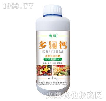 ���P�}��ƿ��-���P����