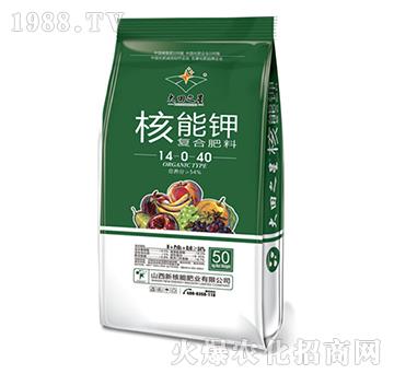 ����⛏ͺϷ���14-0-40-����֮��-�º���