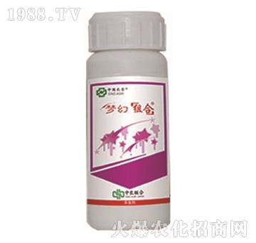 20%���x��-��(m��ng)�ýM��-���r(n��ng)(li��n)��