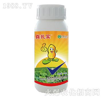 48%���x�����p��-������-���r(li��n)��