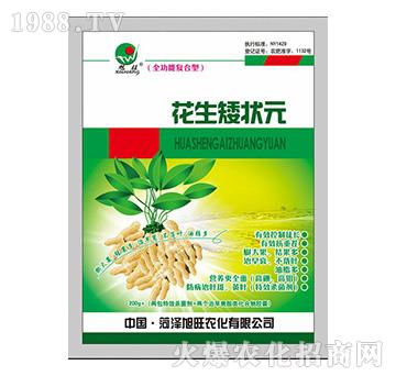 ȫ���܏ͺ��ͻ�������Ԫ-�r(n��ng)�ɸ�