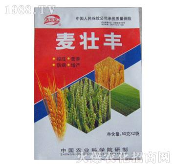 �����S-�r�ɸ�