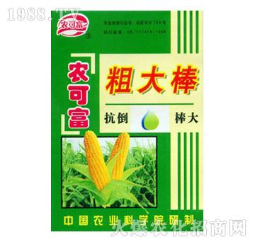 ���״ִ��-�r(n��ng)�ɸ�