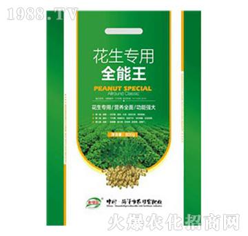 ��������ȫ����-�r(n��ng)�ɸ�