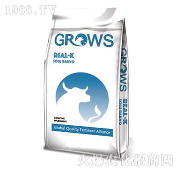 ���܏�(f��)�Ϸ�-���_ʩ-��ʢ����