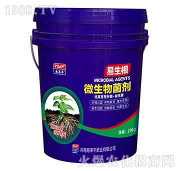 ΢�������-������-���R�S