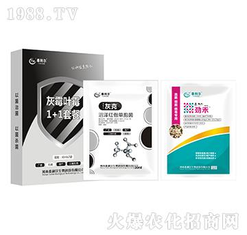 ��ù�~ù1+1�ײ�-̩����