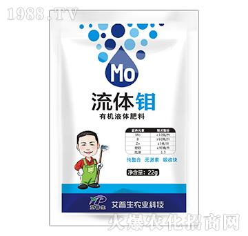 �ЙCҺ�w����-���w�f-������