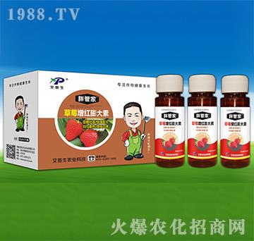 草莓增紅膨大素-胖管家-艾普生