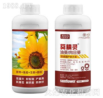 �Ϳ�/���տ��������a(ch��n)�·���-�����`-������