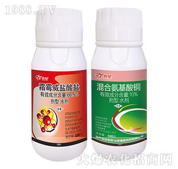 ������ݸ�������������b-����