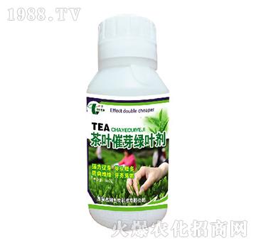 ���~��ѿ�G�~��-��������