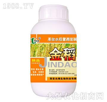 ��-��������