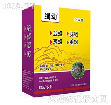 ����1+1�M�����b-(li��n)���r(n��ng)�I(y��)